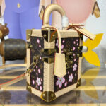 Louis Vuitton X TM Camera Box M14173 Brown